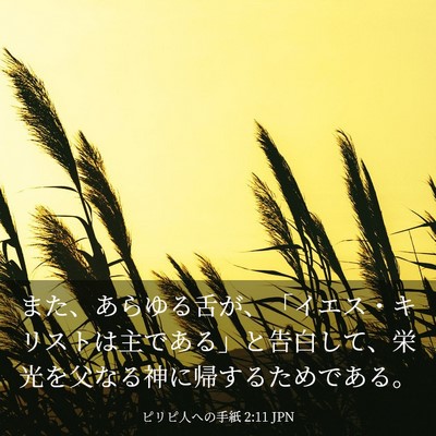 Picture 03 - ピリピ人への手紙 2:11 JPN - また、あらゆる舌が、「イエス・キ - Bible Verse Picture