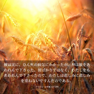 Picture 03 - ピリピ人への手紙 2:27 JPN - 彼は実に、ひん死の病気にかかった - Bible Verse Picture