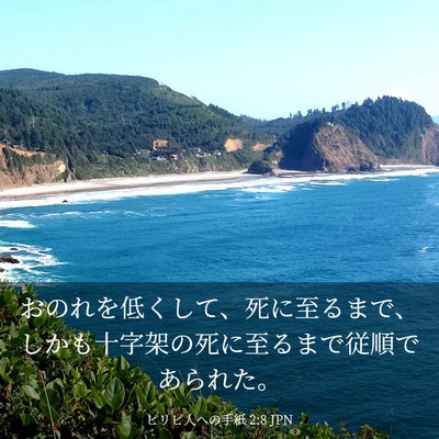 Picture 03 - ピリピ人への手紙 2:8 JPN - おのれを低くして、死に至るまで、 - Bible Verse Picture