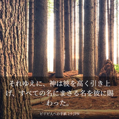 Picture 03 - ピリピ人への手紙 2:9 JPN - それゆえに、神は彼を高く引き上げ - Bible Verse Picture