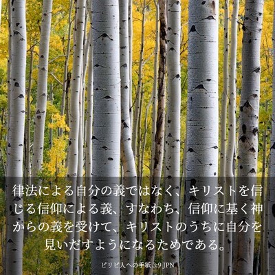 Picture 03 - ピリピ人への手紙 3:9 JPN - 律法による自分の義ではなく、キリ - Bible Verse Picture