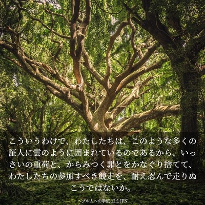 Picture 03 - ヘブル人への手紙 12:1 JPN - こういうわけで、わたしたちは、こ - Bible Verse Picture