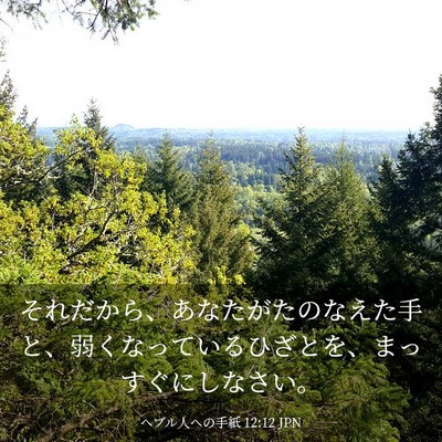 Picture 03 - ヘブル人への手紙 12:12 JPN - それだから、あなたがたのなえた手 - Bible Verse Picture