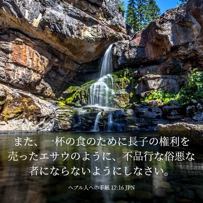 Picture 03 - ヘブル人への手紙 12:16 JPN - また、一杯の食のために長子の権利 - Bible Verse Picture