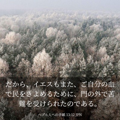 Picture 03 - ヘブル人への手紙 13:12 JPN - だから、イエスもまた、ご自分の血 - Bible Verse Picture