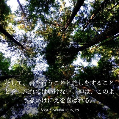 Picture 03 - ヘブル人への手紙 13:16 JPN - そして、善を行うことと施しをする - Bible Verse Picture