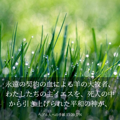 Picture 03 - ヘブル人への手紙 13:20 JPN - 永遠の契約の血による羊の大牧者、 - Bible Verse Picture
