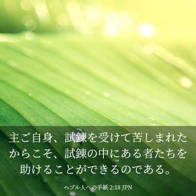Picture 03 - ヘブル人への手紙 2:18 JPN - 主ご自身、試錬を受けて苦しまれた - Bible Verse Picture