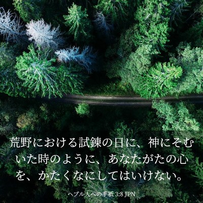 Picture 03 - ヘブル人への手紙 3:8 JPN - 荒野における試錬の日に、神にそむ - Bible Verse Picture