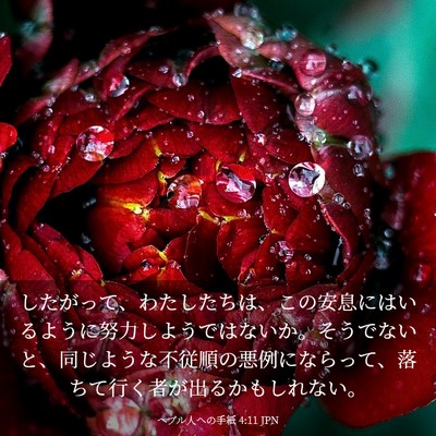 Picture 03 - ヘブル人への手紙 4:11 JPN - したがって、わたしたちは、この安 - Bible Verse Picture