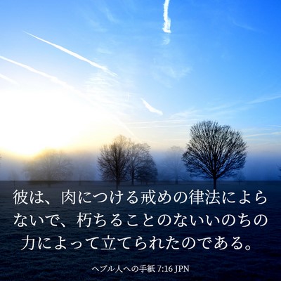 Picture 03 - ヘブル人への手紙 7:16 JPN - 彼は、肉につける戒めの律法によら - Bible Verse Picture