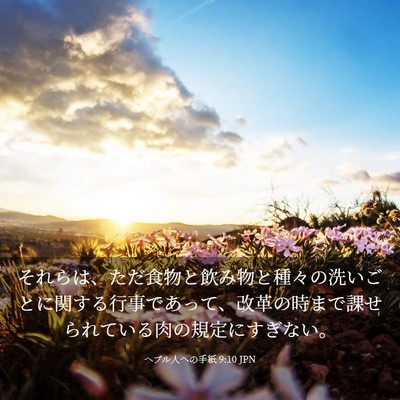Picture 03 - ヘブル人への手紙 9:10 JPN - それらは、ただ食物と飲み物と種々 - Bible Verse Picture