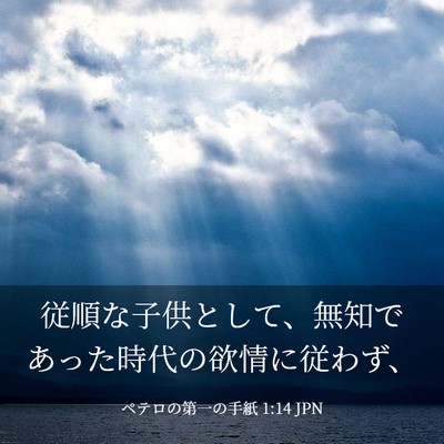 Picture 03 - ペテロの第一の手紙 1:14 JPN - 従順な子供として、無知であった時 - Bible Verse Picture