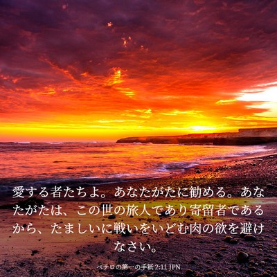 Picture 03 - ペテロの第一の手紙 2:11 JPN - 愛する者たちよ。あなたがたに勧め - Bible Verse Picture