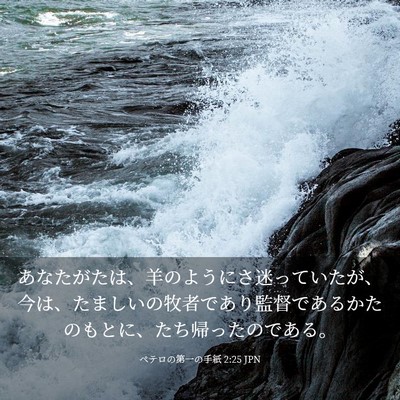 Picture 03 - ペテロの第一の手紙 2:25 JPN - あなたがたは、羊のようにさ迷って - Bible Verse Picture