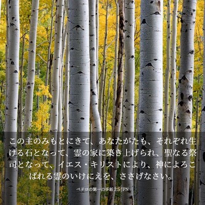 Picture 03 - ペテロの第一の手紙 2:5 JPN - この主のみもとにきて、あなたがた - Bible Verse Picture