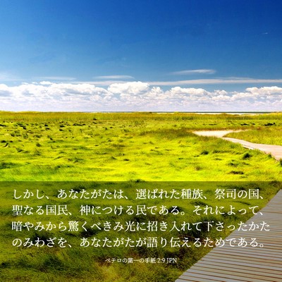 Picture 03 - ペテロの第一の手紙 2:9 JPN - しかし、あなたがたは、選ばれた種 - Bible Verse Picture