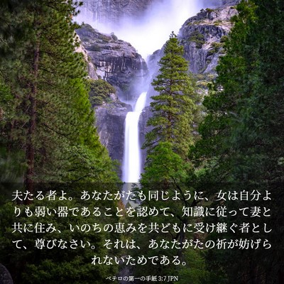 Picture 03 - ペテロの第一の手紙 3:7 JPN - 夫たる者よ。あなたがたも同じよう - Bible Verse Picture