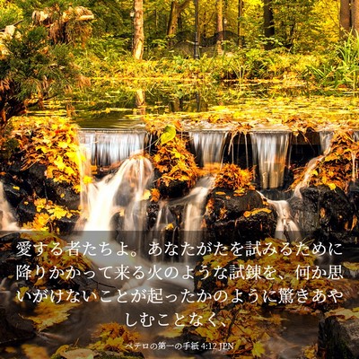 Picture 03 - ペテロの第一の手紙 4:12 JPN - 愛する者たちよ。あなたがたを試み - Bible Verse Picture