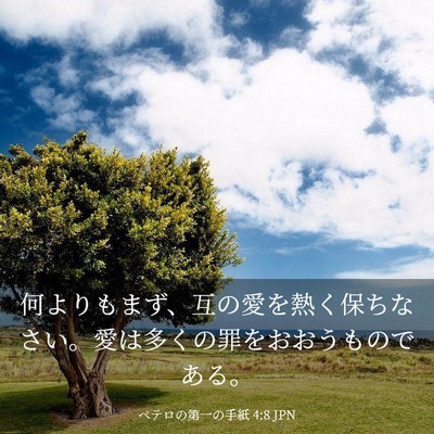 Picture 03 - ペテロの第一の手紙 4:8 JPN - 何よりもまず、互の愛を熱く保ちな - Bible Verse Picture