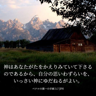 Picture 03 - ペテロの第一の手紙 5:7 JPN - 神はあなたがたをかえりみていて下 - Bible Verse Picture