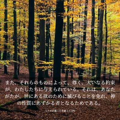 Picture 03 - ペテロの第二の手紙 1:4 JPN - また、それらのものによって、尊く - Bible Verse Picture