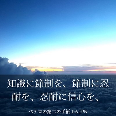 Picture 03 - ペテロの第二の手紙 1:6 JPN - 知識に節制を、節制に忍耐を、忍耐 - Bible Verse Picture