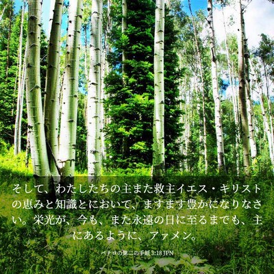 Picture 03 - ペテロの第二の手紙 3:18 JPN - そして、わたしたちの主また救主イ - Bible Verse Picture