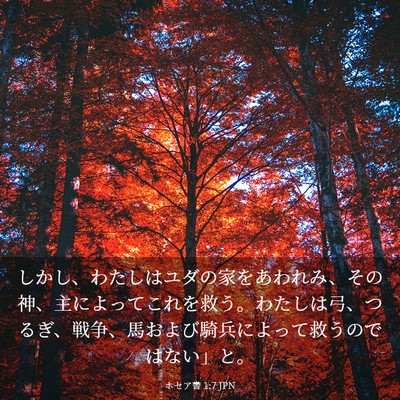 Picture 03 - ホセア書 1:7 JPN - しかし、わたしはユダの家をあわれ - Bible Verse Picture