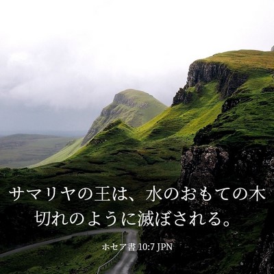Picture 03 - ホセア書 10:7 JPN - サマリヤの王は、水のおもての木切 - Bible Verse Picture