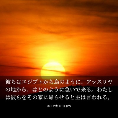 Picture 03 - ホセア書 11:11 JPN - 彼らはエジプトから鳥のように、ア - Bible Verse Picture