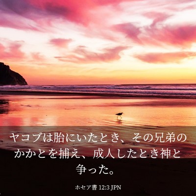 Picture 03 - ホセア書 12:3 JPN - ヤコブは胎にいたとき、その兄弟の - Bible Verse Picture