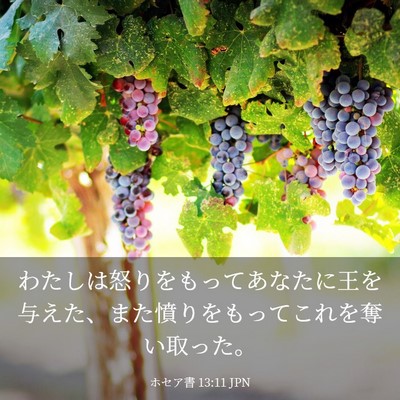 Picture 03 - ホセア書 13:11 JPN - わたしは怒りをもってあなたに王を - Bible Verse Picture