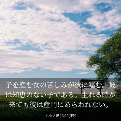 Picture 03 - ホセア書 13:13 JPN - 子を産む女の苦しみが彼に臨む。彼 - Bible Verse Picture