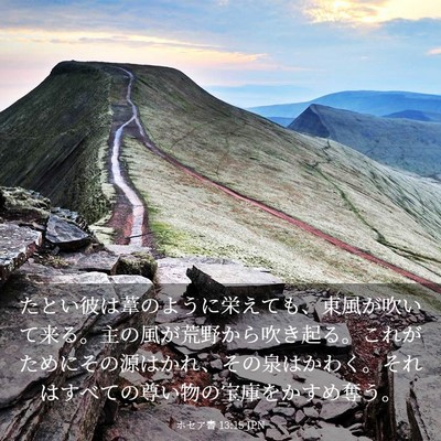 Picture 03 - ホセア書 13:15 JPN - たとい彼は葦のように栄えても、東 - Bible Verse Picture