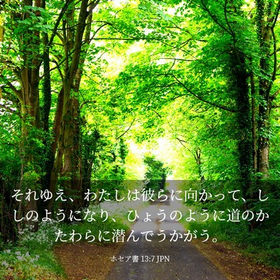 Picture 03 - ホセア書 13:7 JPN - それゆえ、わたしは彼らに向かって - Bible Verse Picture