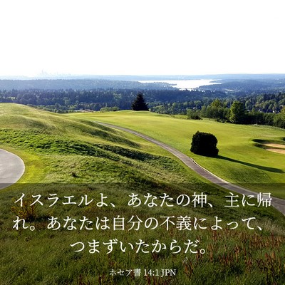 Picture 03 - ホセア書 14:1 JPN - イスラエルよ、あなたの神、主に帰 - Bible Verse Picture