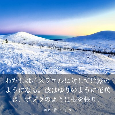 Picture 03 - ホセア書 14:5 JPN - わたしはイスラエルに対しては露の - Bible Verse Picture