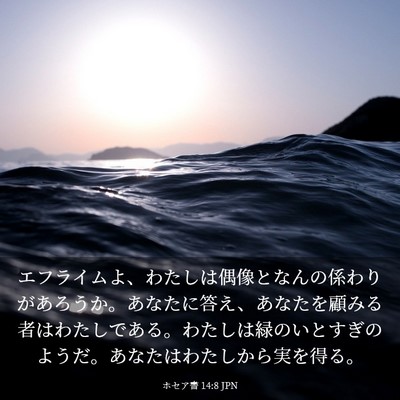 Picture 03 - ホセア書 14:8 JPN - エフライムよ、わたしは偶像となん - Bible Verse Picture