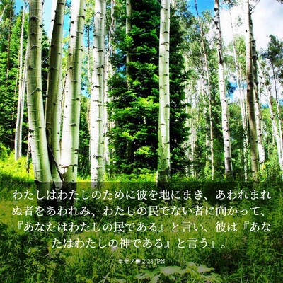 Picture 03 - ホセア書 2:23 JPN - わたしはわたしのために彼を地にま - Bible Verse Picture