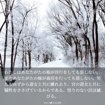 Picture 03 - ホセア書 4:14 JPN - わたしはあなたがたの娘が淫行をし - Bible Verse Picture