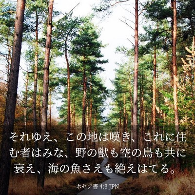 Picture 03 - ホセア書 4:3 JPN - それゆえ、この地は嘆き、これに住 - Bible Verse Picture