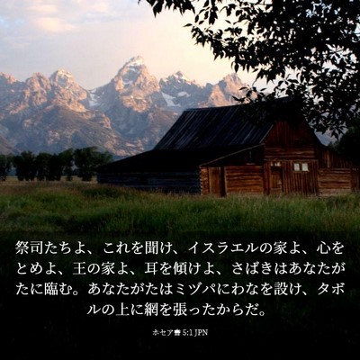 Picture 03 - ホセア書 5:1 JPN - 祭司たちよ、これを聞け、イスラエ - Bible Verse Picture
