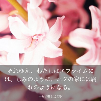 Picture 03 - ホセア書 5:12 JPN - それゆえ、わたしはエフライムには - Bible Verse Picture