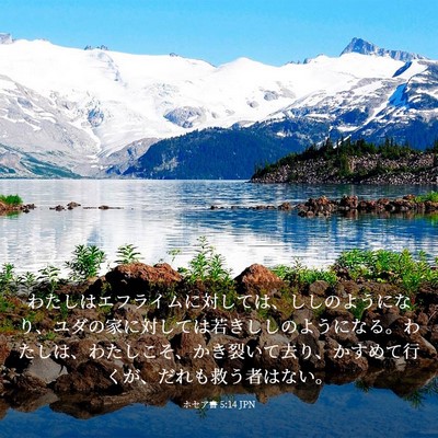 Picture 03 - ホセア書 5:14 JPN - わたしはエフライムに対しては、し - Bible Verse Picture