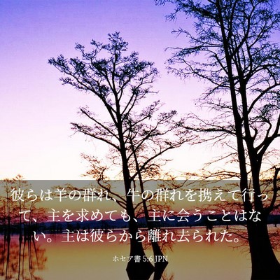 Picture 03 - ホセア書 5:6 JPN - 彼らは羊の群れ、牛の群れを携えて - Bible Verse Picture