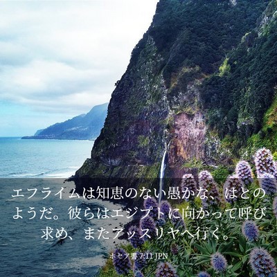 Picture 03 - ホセア書 7:11 JPN - エフライムは知恵のない愚かな、は - Bible Verse Picture