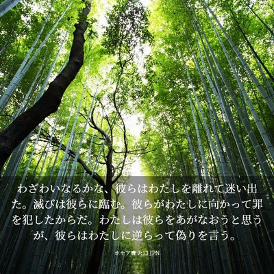 Picture 03 - ホセア書 7:13 JPN - わざわいなるかな、彼らはわたしを - Bible Verse Picture