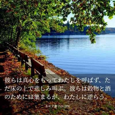 Picture 03 - ホセア書 7:14 JPN - 彼らは真心をもってわたしを呼ばず - Bible Verse Picture