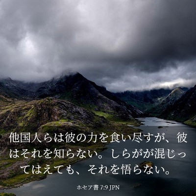 Picture 03 - ホセア書 7:9 JPN - 他国人らは彼の力を食い尽すが、彼 - Bible Verse Picture